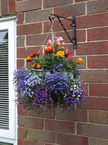 BarrowfordBestKeptGardens2019_173_25pc
