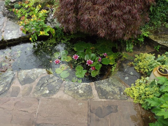 BarrowfordBestKeptGardens2019_272_25pc