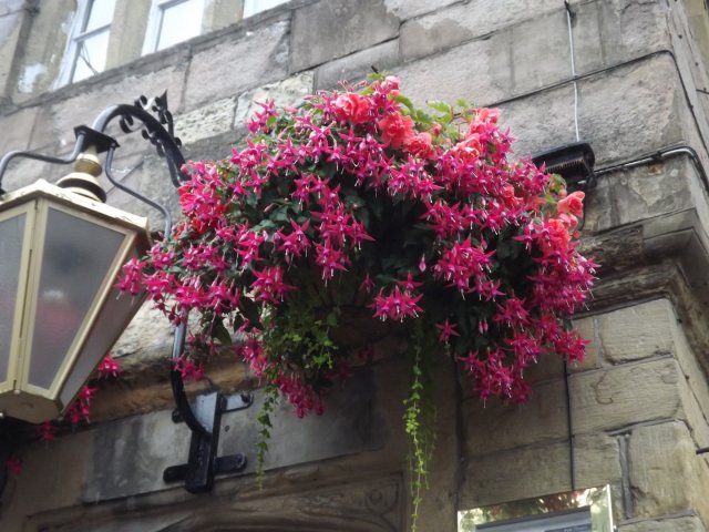 BarrowfordBestKeptGardens2019_298_25pc