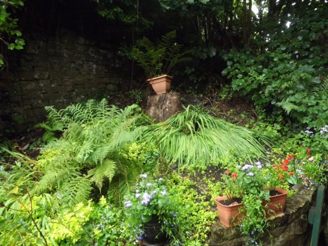 BarrowfordBestKeptGardens2019_307_25pc