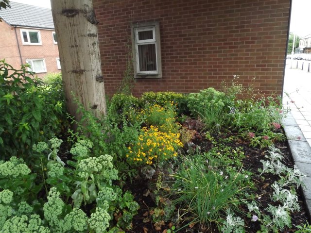 BarrowfordBestKeptGardens2019_315_25pc