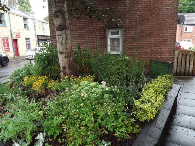 BarrowfordBestKeptGardens2019_316_25pc