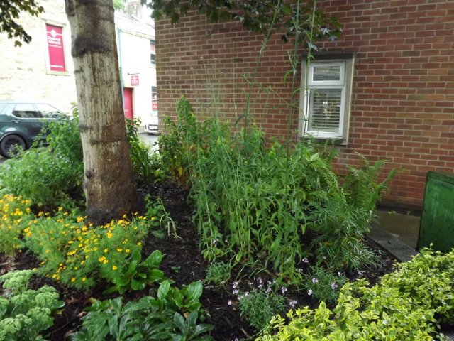 BarrowfordBestKeptGardens2019_318_25pc