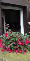 BarrowfordBestKeptGardens2019_045_25pc
