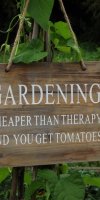 BarrowfordBestKeptGardens2019_119_25pc