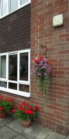 BarrowfordBestKeptGardens2019_146_25pc