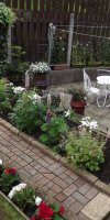 BarrowfordBestKeptGardens2019_175_25pc