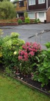 BarrowfordBestKeptGardens2019_242_25pc