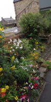BarrowfordBestKeptGardens2019_275_25pc