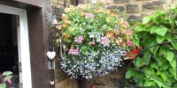 BarrowfordBestKeptGardens2019_044_25pc