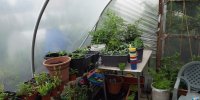 BarrowfordBestKeptGardens2019_098_25pc