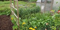 BarrowfordBestKeptGardens2019_115_25pc