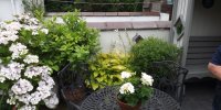 BarrowfordBestKeptGardens2019_140_25pc
