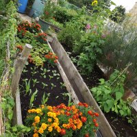 BarrowfordBestKeptGardens2019_095_25pc