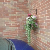 BarrowfordBestKeptGardens2019_143_25pc