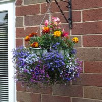 BarrowfordBestKeptGardens2019_173_25pc