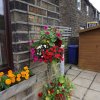 BarrowfordBestKeptGardens2019_077_25pc