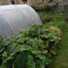 BarrowfordBestKeptGardens2019_090_25pc