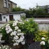 BarrowfordBestKeptGardens2019_139_25pc
