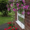 BarrowfordBestKeptGardens2019_149_25pc