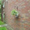 BarrowfordBestKeptGardens2019_162_25pc
