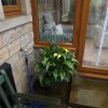 BarrowfordBestKeptGardens2019_269_25pc