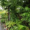 BarrowfordBestKeptGardens2019_281_25pc