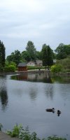 PondInBarrowfordPark