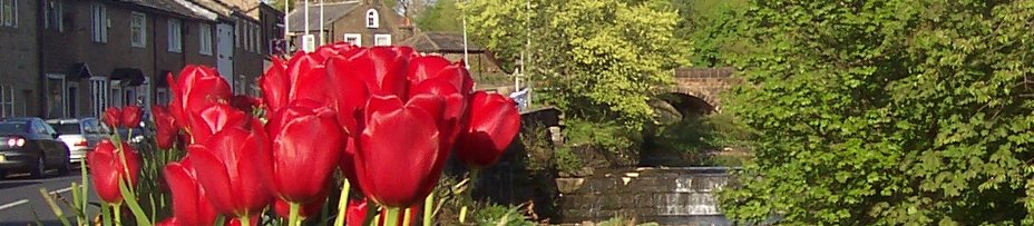 barrowford-tulips-bridge.jpg